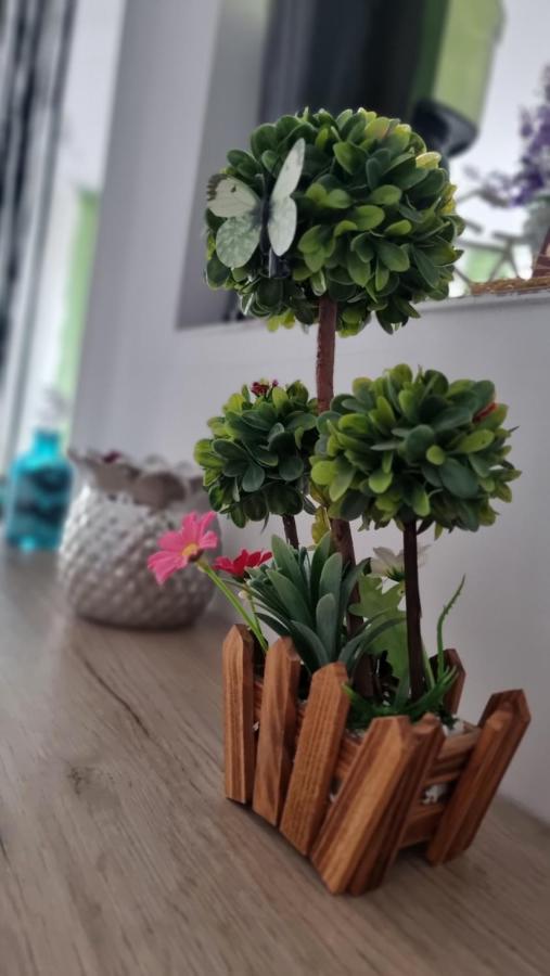 Apartament Daria Нэводари Экстерьер фото